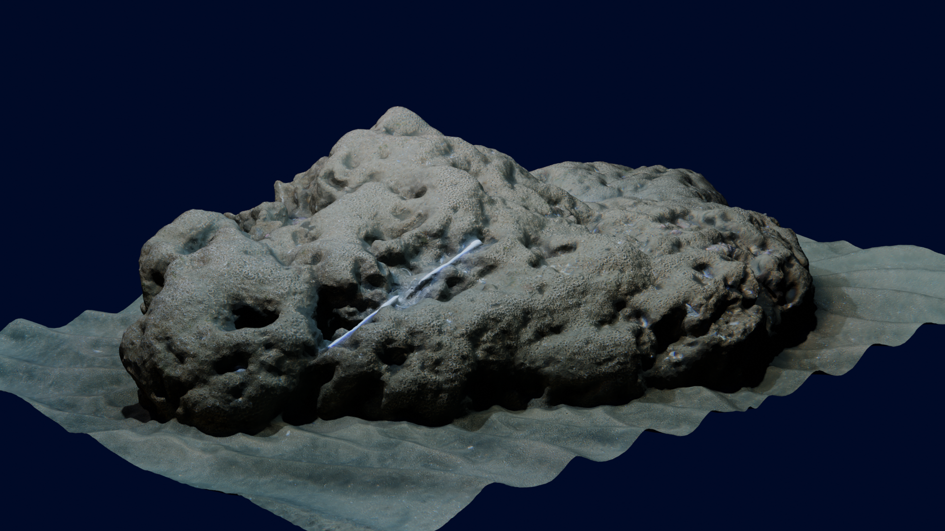 Copy of Biogenic Sabellaria reef 3D rendering