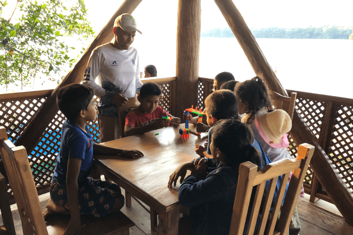 Mangrove Beekeeping (10)