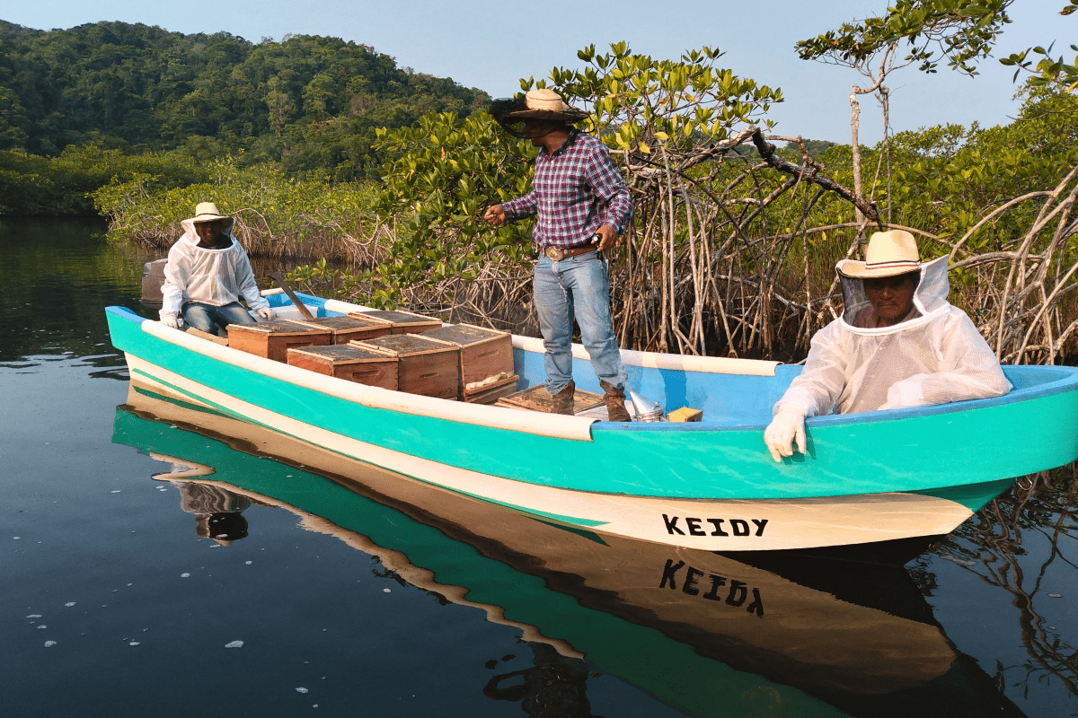 Mangrove Beekeeping (5)