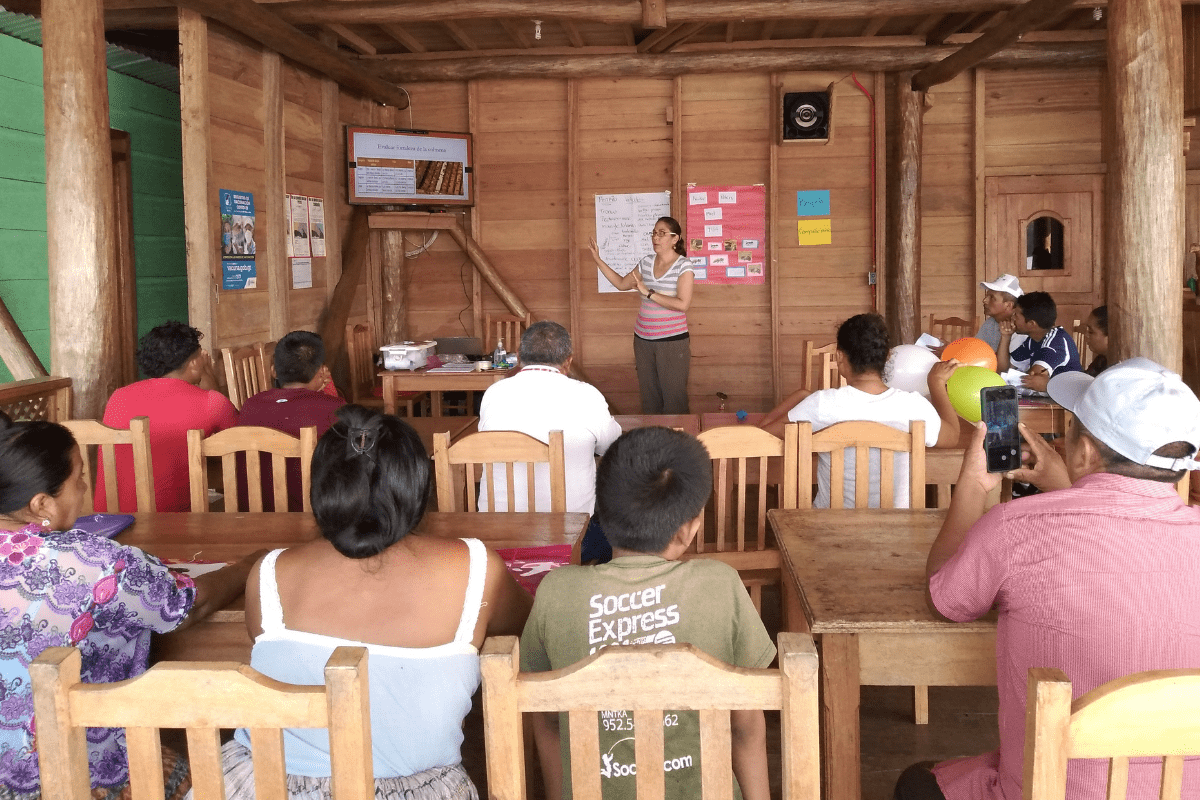 Mangrove Beekeeping (8)