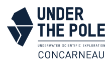 LOGO-UTP-BASELINE-1